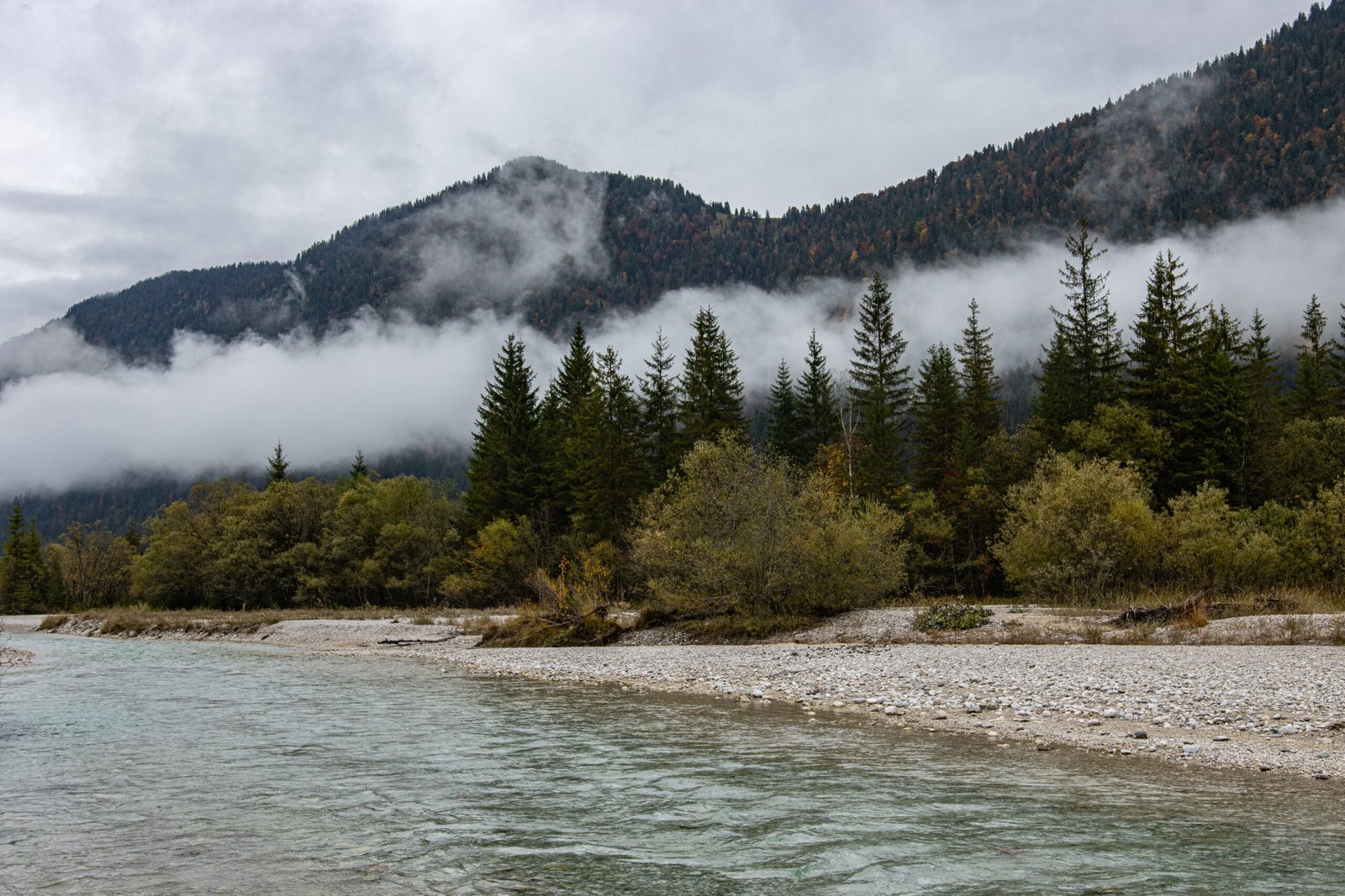 Wildlife Viewing along Alaska’s Southwestern Ferry Route