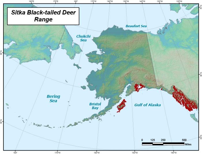 Regulations for hunting Sitka Black-tailed Deer by the Alaska Department of Fish and Game