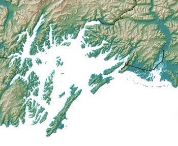 Wildlife Viewing in Prince William Sound